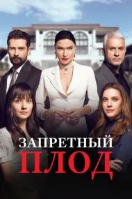 Запретный плод (турецкий сериал) на русском языке смотреть онлайн