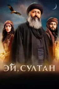 Эй, Султан (турецкий сериал) на русском языке смотреть онлайн